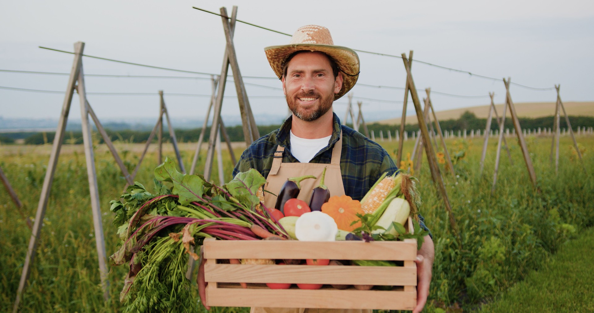 Portrait of smiling caucasian male farmer man worker holding box basket of organic nutrition fresh vegetables looking at camera sunset field outdoor. Successful businessman offers variety of fresh vegetables beets, potatoes and carrots.