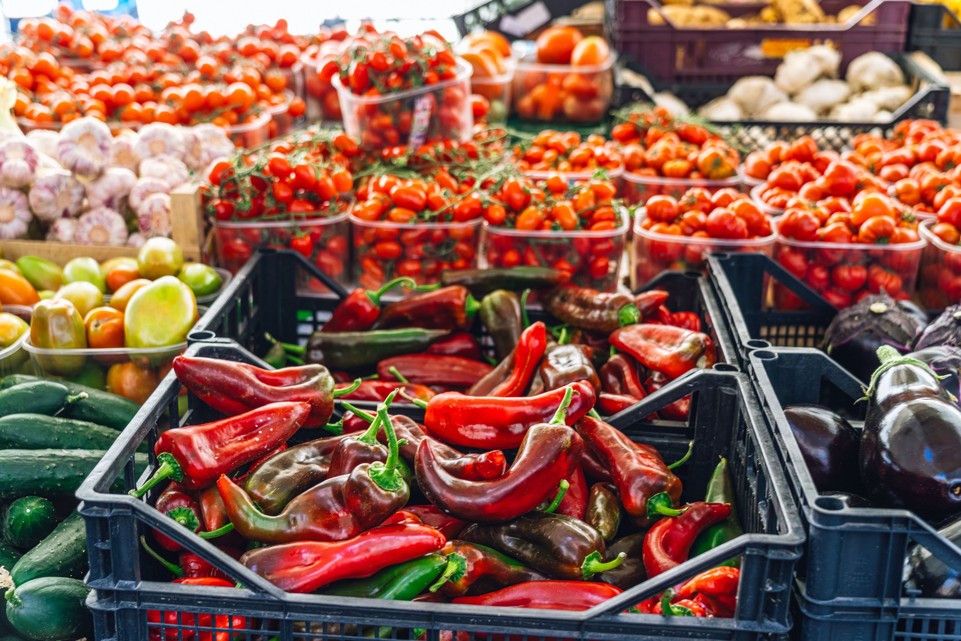 Colorful Display of Fresh Vegetables at a Local Farmers Market
